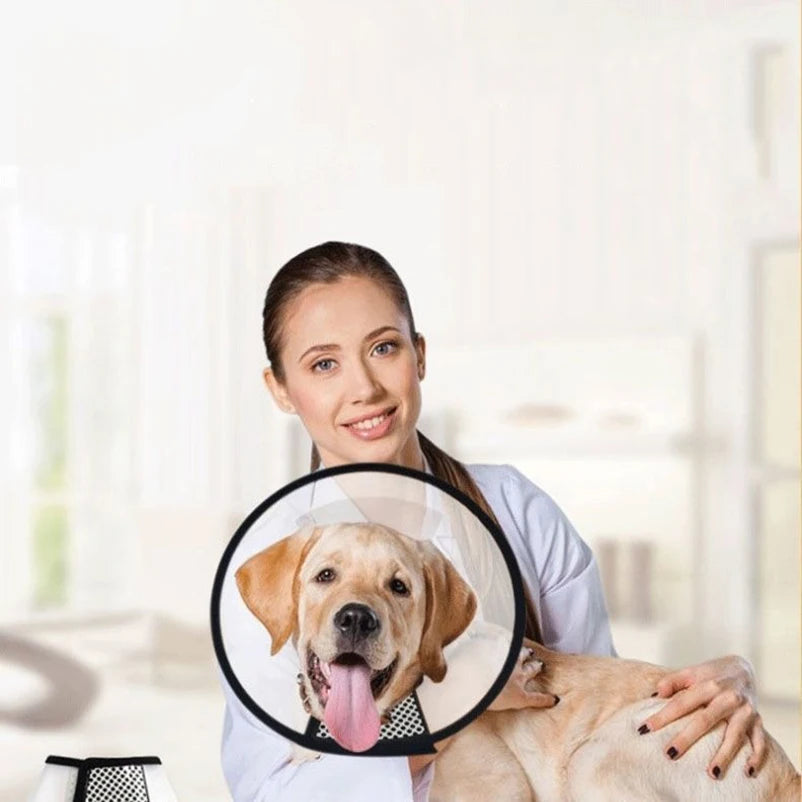 Pet Dog And Cat Collar Large Dog Medium Dog Small Dog Bite Ring Anti-scratching Collar Recovery Collar